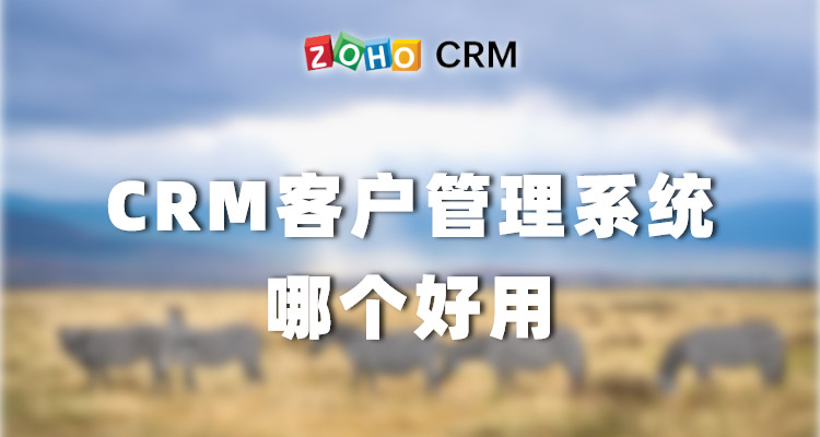 探讨CRM客户管理系统哪个好用
