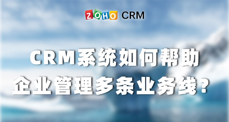 CRM系统如何管理企业多条业务线？