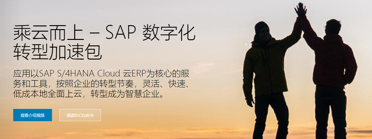 SAP Ariba怎么样好用吗？SAP Ariba多少钱一年？公司实力怎么样？