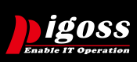 PIGOSS